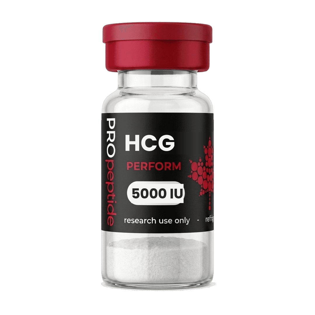 HCG 5000 IU peptide vial from Pro Peptide Perform range with crimson cap and white lyophilised powder